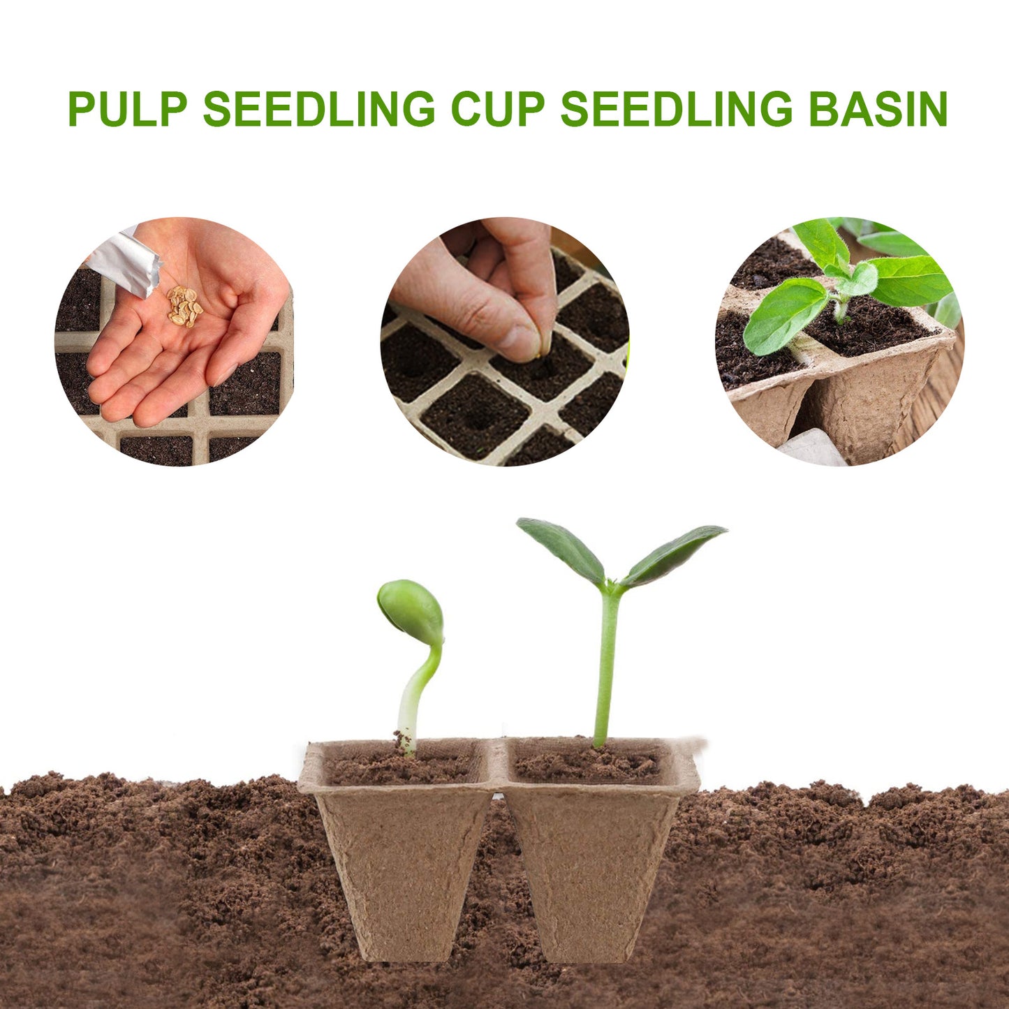 Biodegradable Eco-Friendly Seedling Nursery Tray 12-Hole