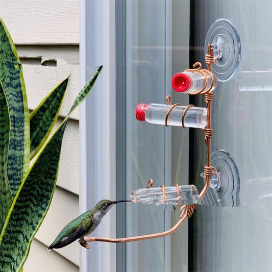 FlutterSip: Window Hummingbird Feeder