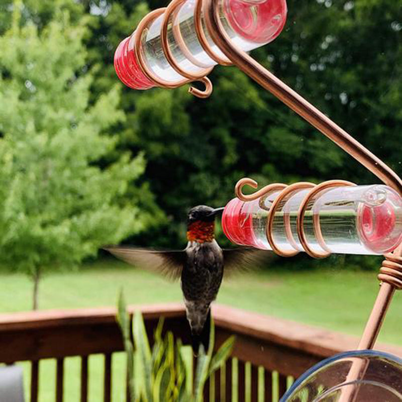 FlutterSip: Window Hummingbird Feeder