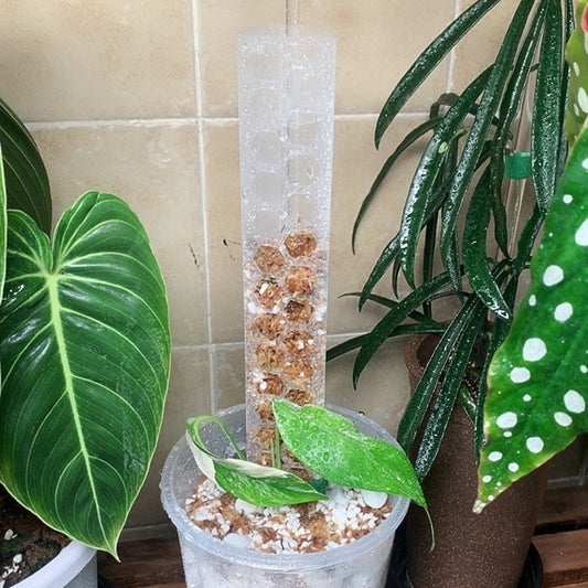 AquaArc Modular Plant Climbing Columns