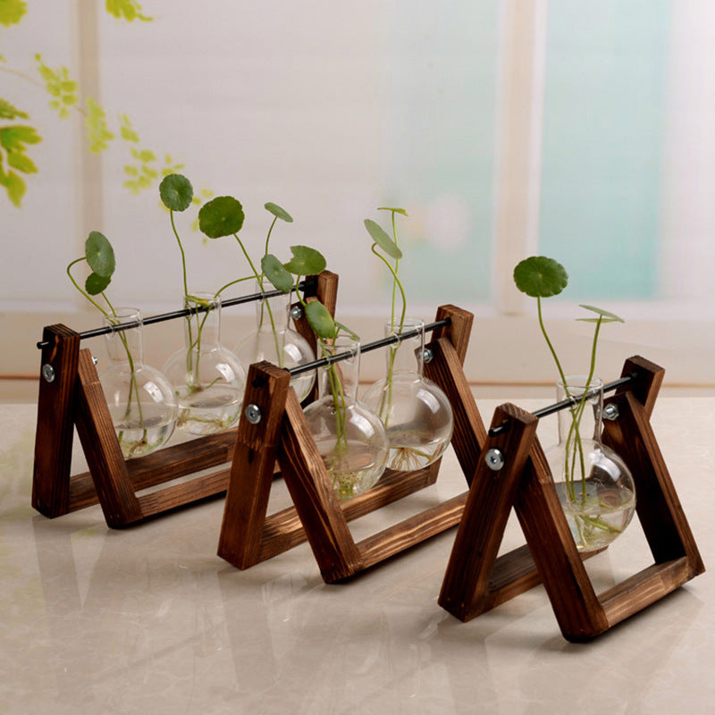 Glass Propagation Jars w/ Wood Stand
